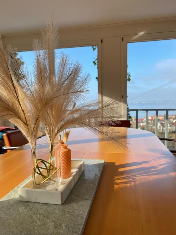 Villa Mit Traumhaftem Blick Uber Den Bodensee Bregenz Eksteriør billede